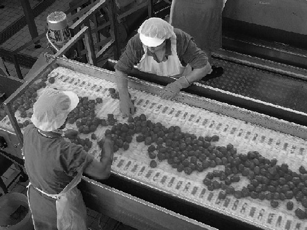 componenti-meccanici-per-settore-alimentare-sassuolo